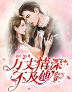 万丈情深不及他