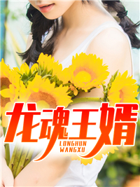 龙魂王婿