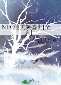 NPC他美颜盛世[全息]