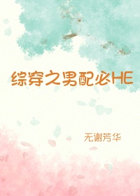 综穿之男配HE