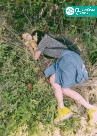 若有来生为你掌灯