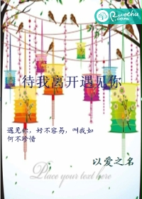 待我离开遇见你