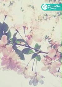 我曾想与你白头