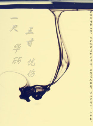 一尺华丽三寸忧伤