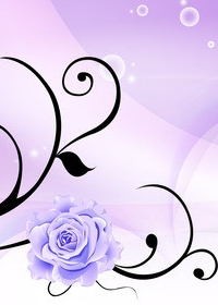 明月皎皎玫瑰香