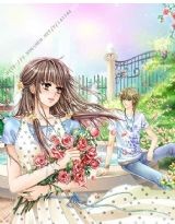 我愿在寂静的角落看着你