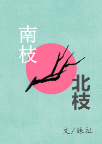 南枝北枝