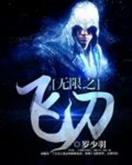 无限之飞刀