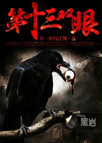 第十三双眼