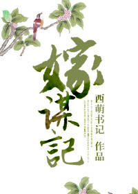 嫁谋记（又名侯门娇妻）