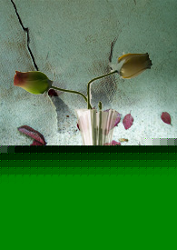 何以撩心（校园H)