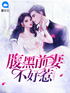 腹黑前妻不好惹忘月