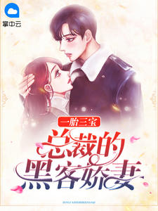 一胎三宝，总裁的黑客娇妻苏小暖楚寒
