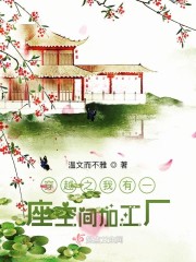 穿越之我有一座空间加工厂