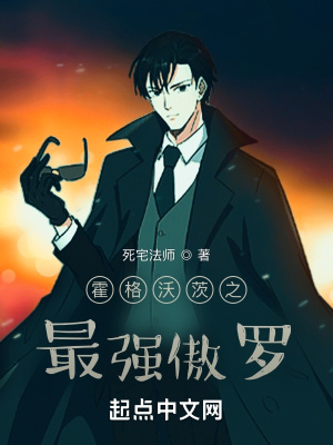 霍格沃茨之最强傲罗