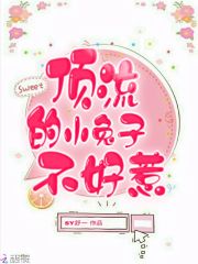 顶流的小兔子不好惹