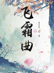 飞霜曲