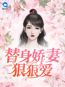 替身娇妻狠狠爱小莫