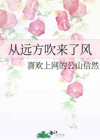 从远方吹来了风
