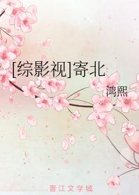 [综影视]寄北