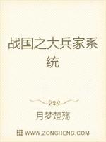 战国之大兵家系统
