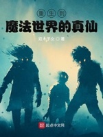 混在魔法世界的修真者