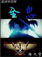 全职高手之一个人的全息网游