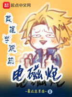 英雄学院的电磁炮