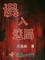 误入迷局