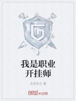 我是职业开挂师