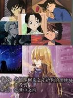 名侦探柯南之守护你的黑铁骑