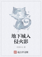 地下城入侵火影