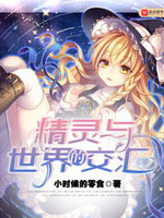 精灵与世界的交汇